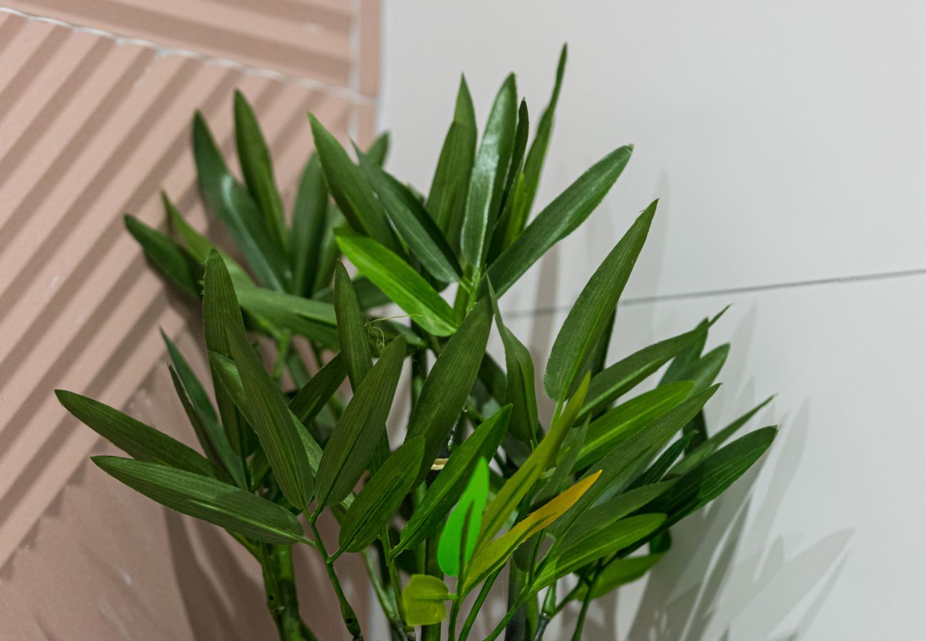 Studio à Nice - Studio Duplex - Vieux Nice - 100m de la mer Studio à Nice - Studio Duplex - Vieux Nice - 100m de la mer