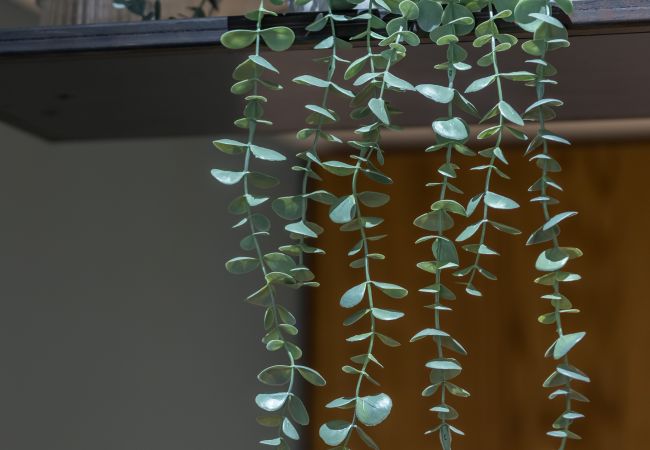 Appartement à Nice - Studio Mezzanine en plein coeur du vieux Nice  Appartement à Nice - Studio Mezzanine en plein coeur du vieux Nice