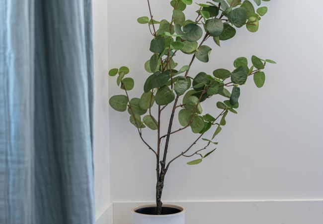 Appartement à Nice - Beau 2 pièces lumineux et cosy - A/C Appartement à Nice - Beau 2 pièces lumineux et cosy - A/C