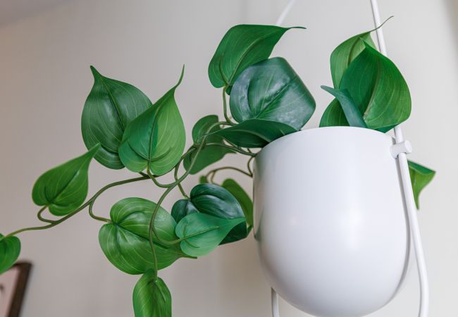 Appartement à Nice - Charmant 2 pièces - Centre-ville Appartement à Nice - Charmant 2 pièces - Centre-ville