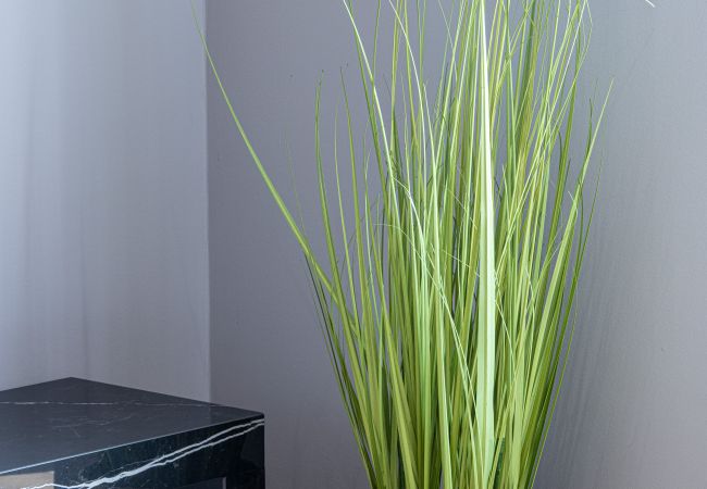 Apartment in Nice - Splendid flat - Carré d'Or - A/C Apartment in Nice - Splendid flat - Carré d'Or - A/C