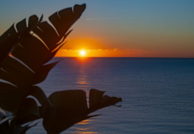 Apartment in Nice - Magnificent 2-room apartment with sea view - Promenade des Anglais Apartment in Nice - Magnificent 2-room apartment with sea view - Promenade des Anglais