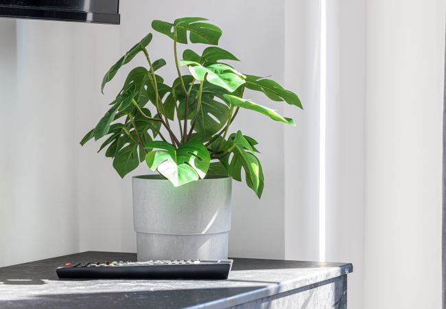 Studio in Nice - Modern & renovated studio - A/C - 300m Jean Médecin  Studio in Nice - Modern & renovated studio - A/C - 300m Jean Médecin