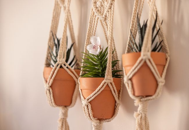 Studio in Nice - Bohemian studio - Port district Studio in Nice - Bohemian studio - Port district