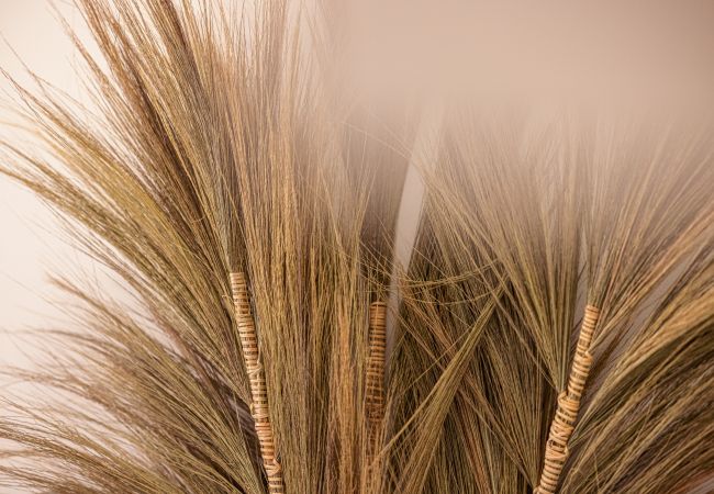 Studio in Nice - Bohemian studio - Port district Studio in Nice - Bohemian studio - Port district