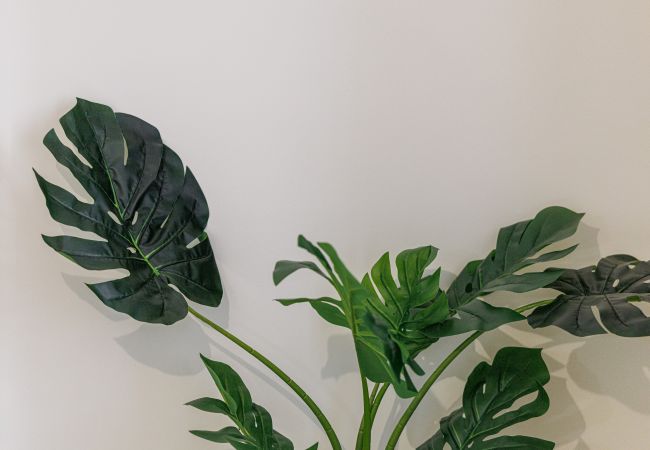 Apartment in Nice - Beautiful 1 bedroom apt - AC - Near train station Apartment in Nice - Beautiful 1 bedroom apt - AC - Near train station